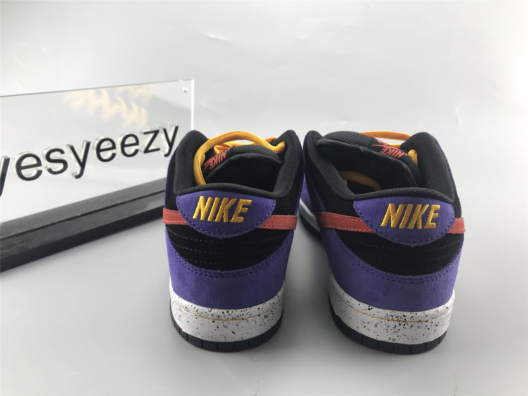 UA NIKE DUNK LOW SB 