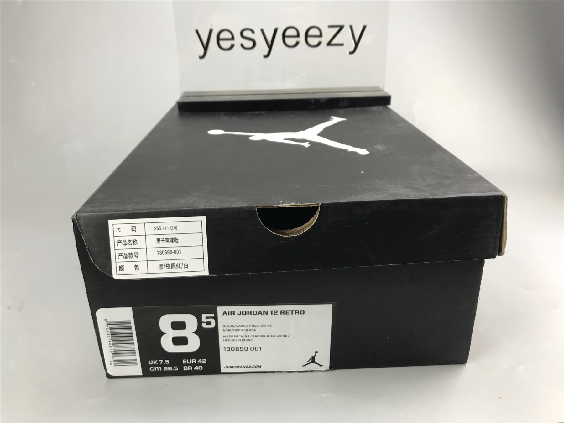 UA AIR JORDAN 12 RETRO 