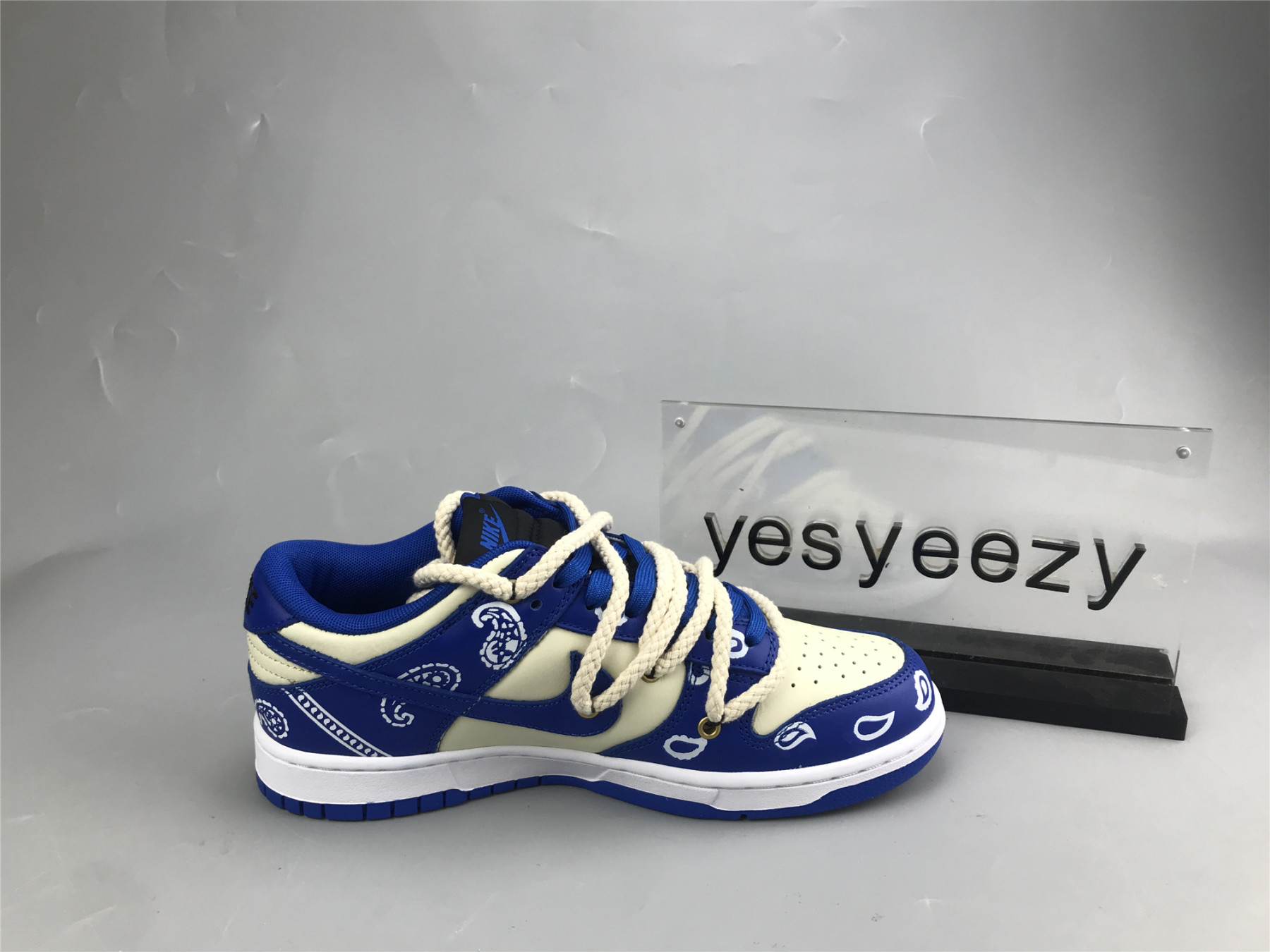 UA NIKE DUNK LOW 