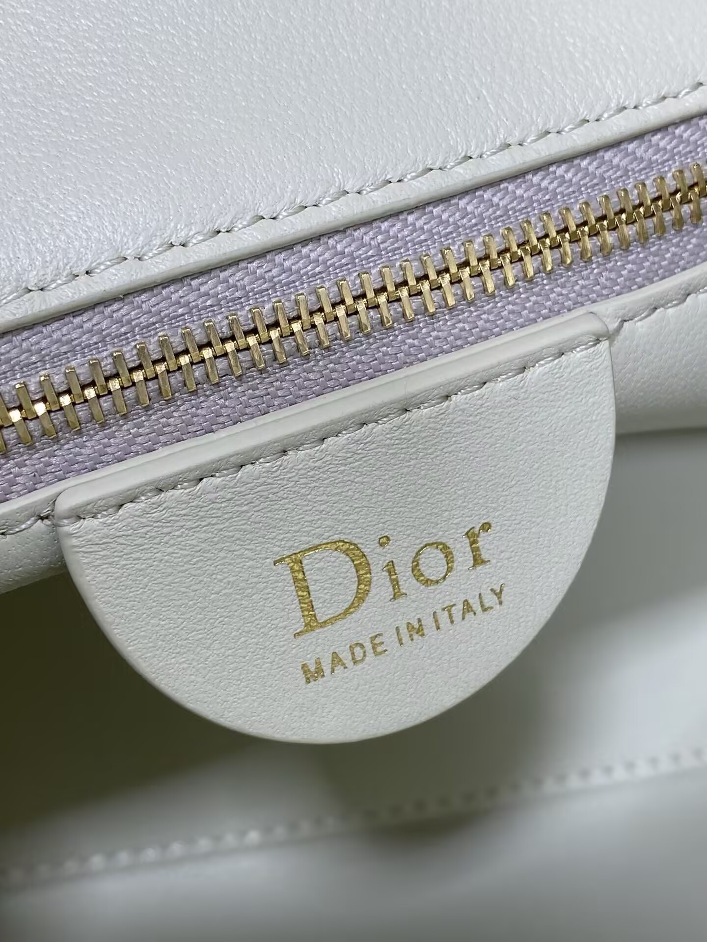 D10r Small Toujours Hobo Handbag 22.5 x 14 x 7.5 cm