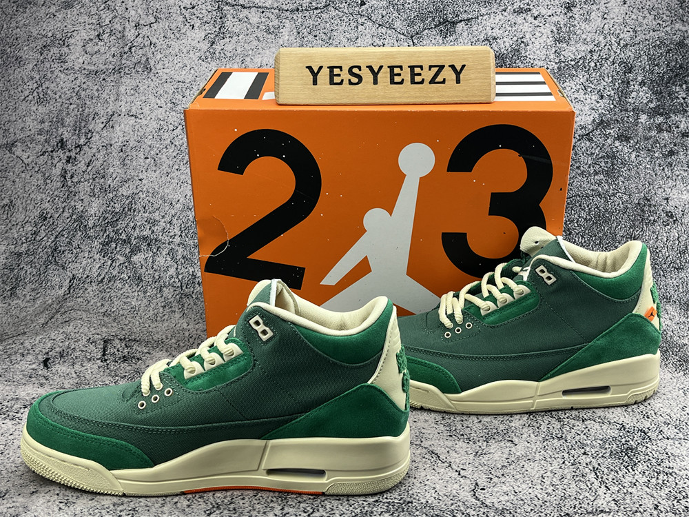 UA NINA Ch**el ABNEY X AIR JORDAN 3