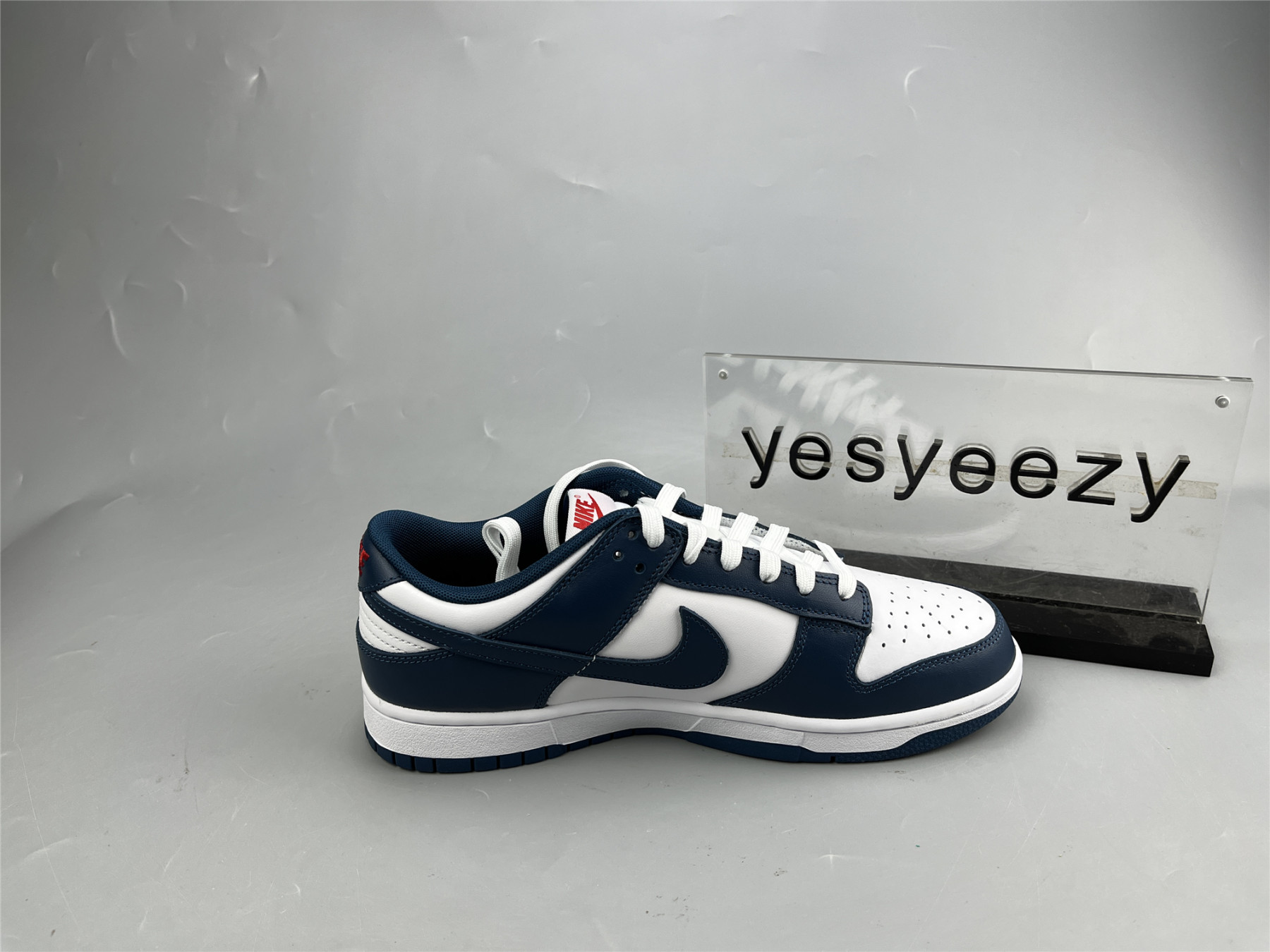 UA NIKE DUNK LOW 