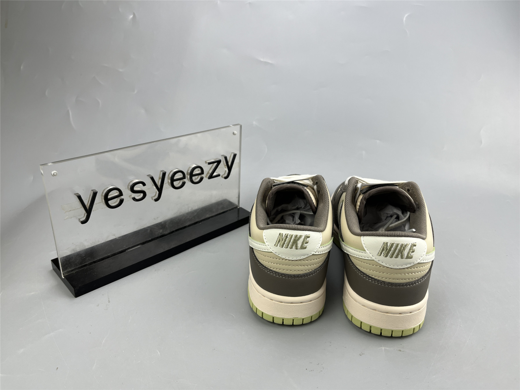 UA NIKE DUNK LOW 