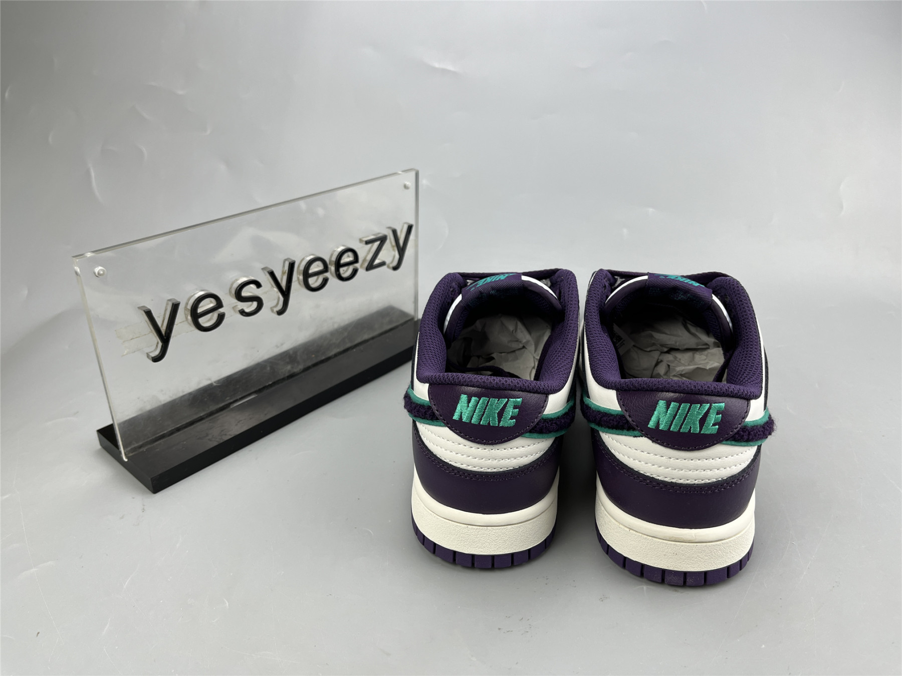 UA NIKE DUNK LOW 