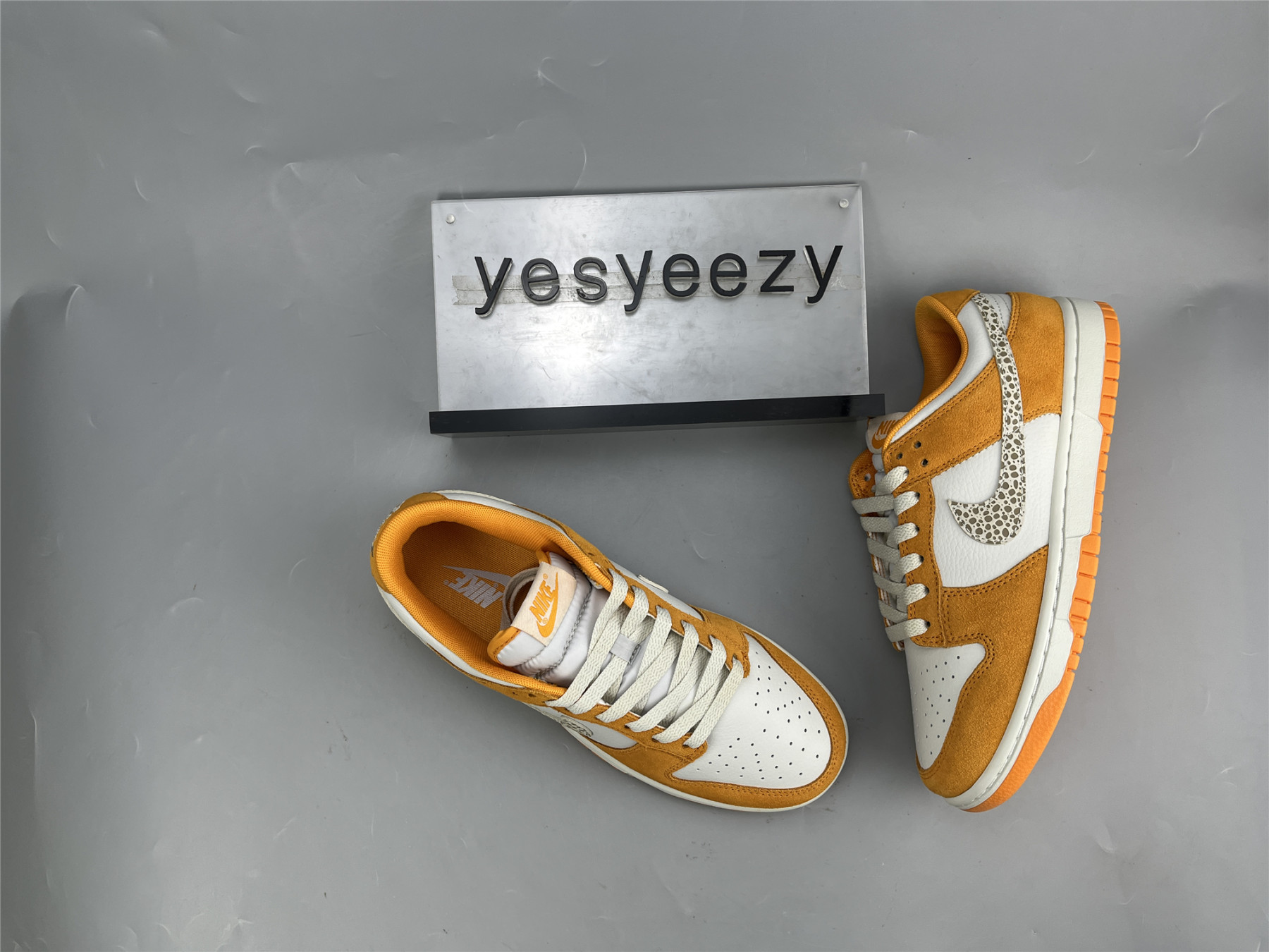 UA NIKE DUNK LOW 