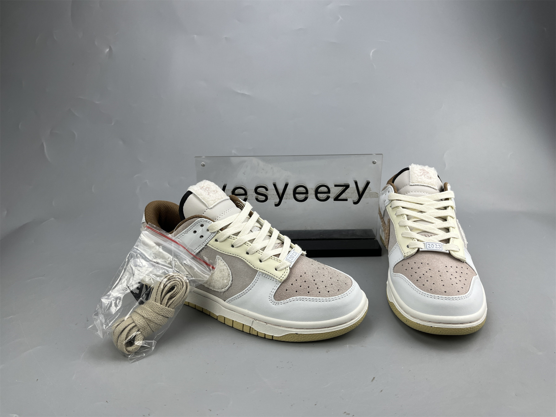 UA NIKE DUNK LOW 