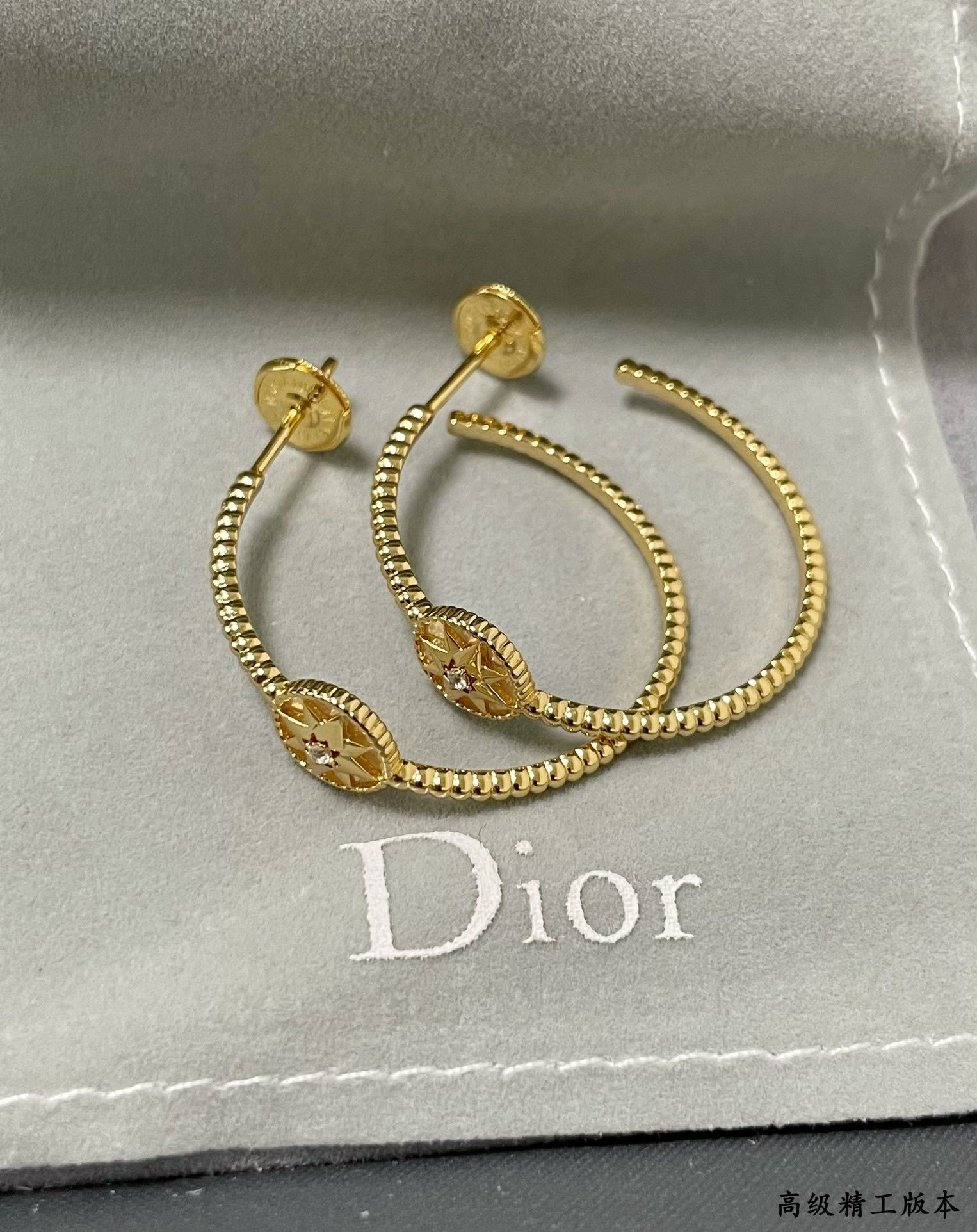 D10r rose des vents earrings