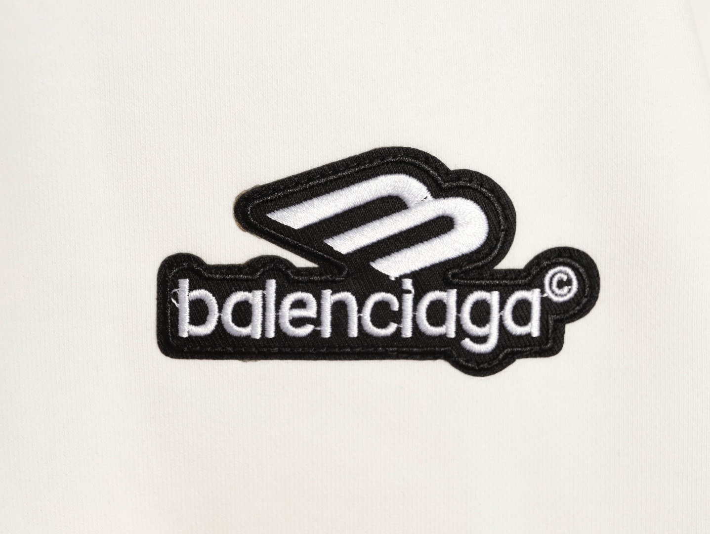 Ba1en*iaga 25FW Hoodies