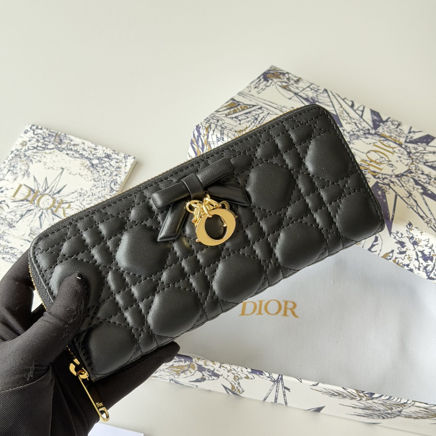 D10r Promenade Voyageur Slim Wallet 19x10.5x2.5cm