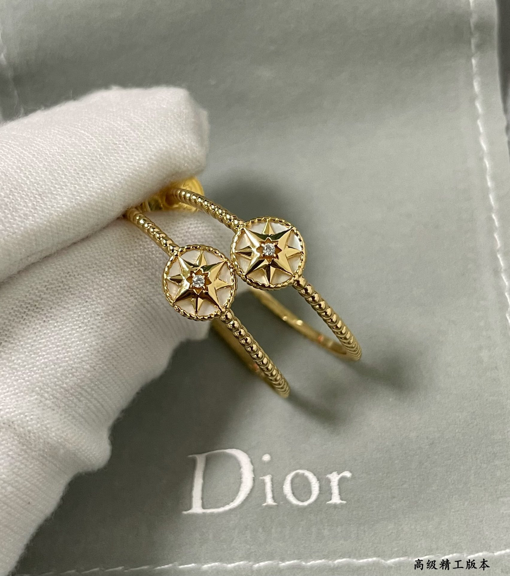 D10r rose des vents earrings