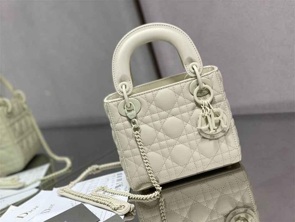 Mini Lady D10r Bag 6.5 x 6 x 3 inches