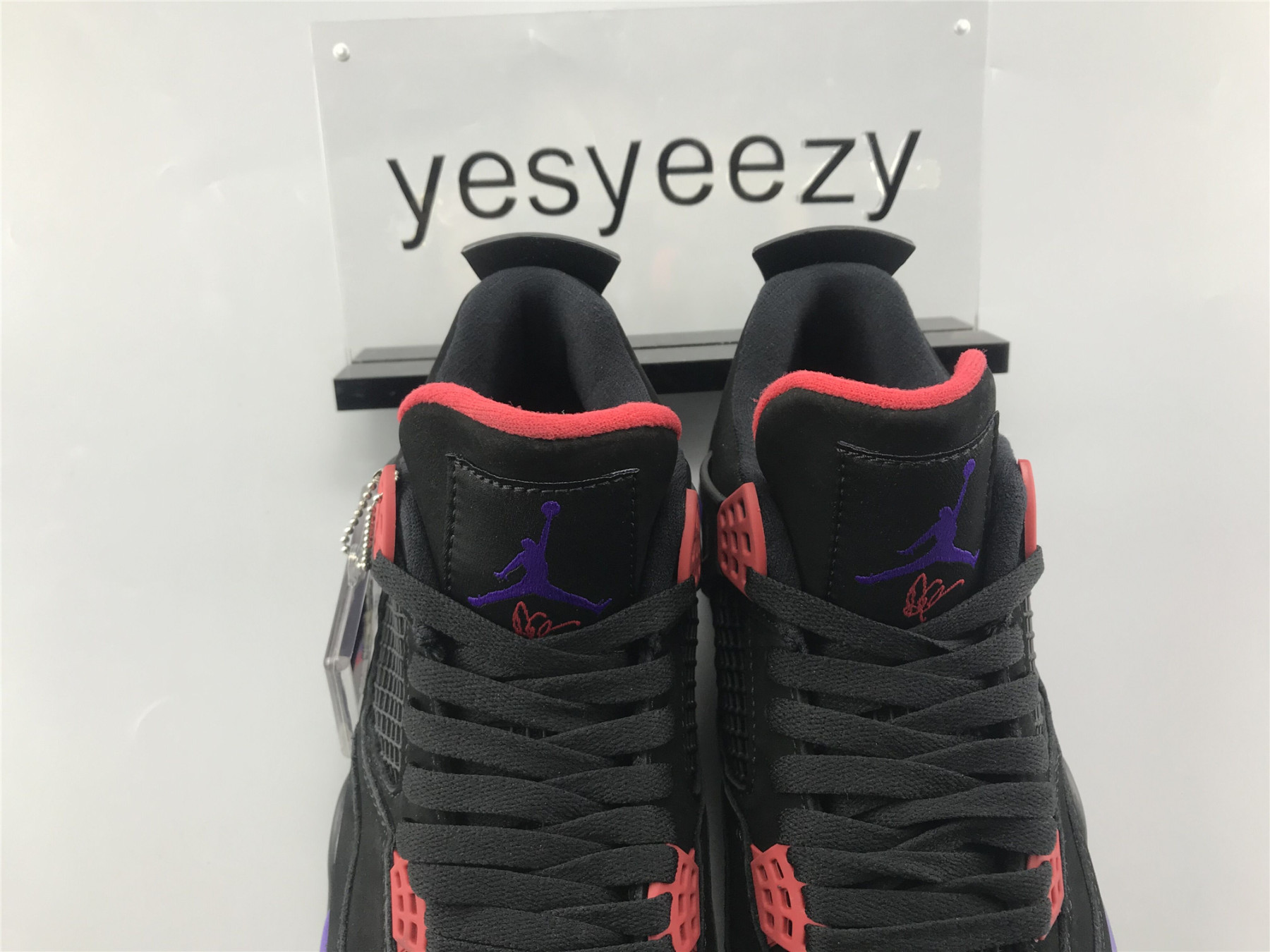 UA AIR JORDAN 4 RETRO NRG "RAPTOR - DRAKE SIGNATURE"