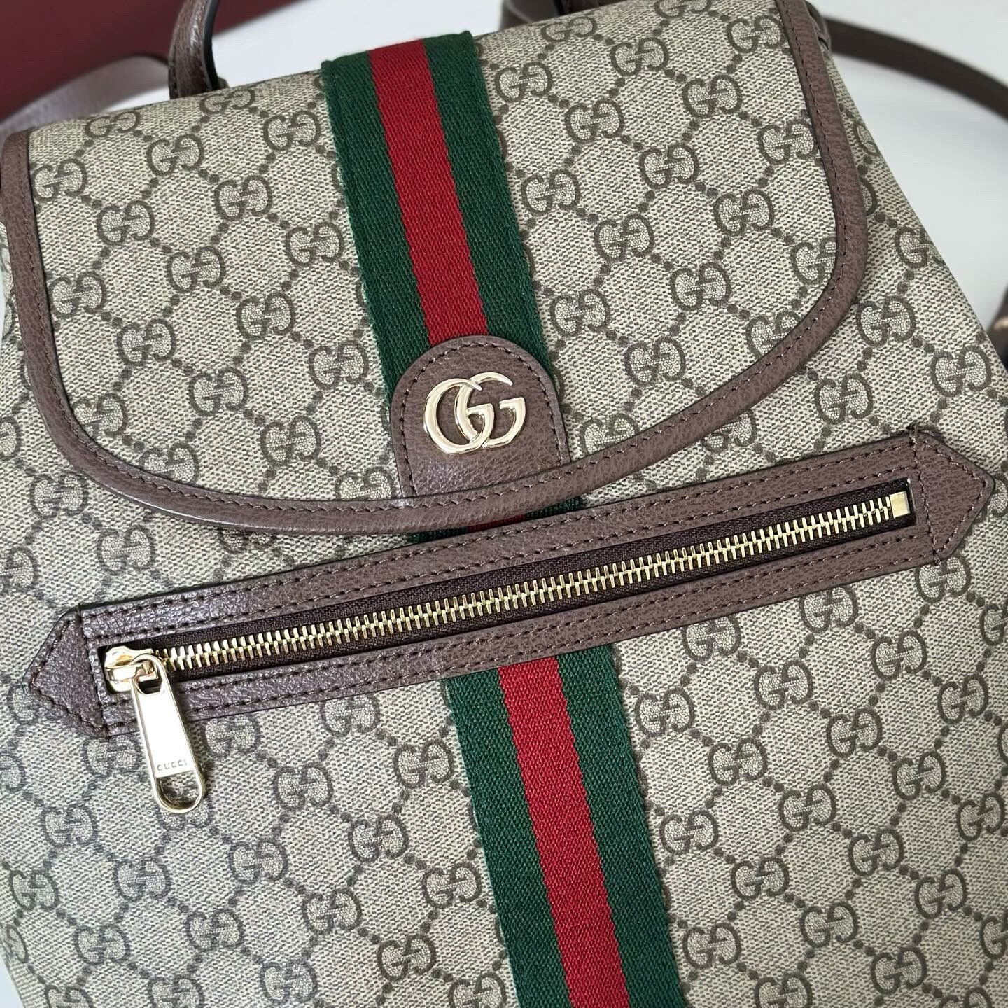 Gvc*1 Ophidia Medium Backpack 28x30x18cm
