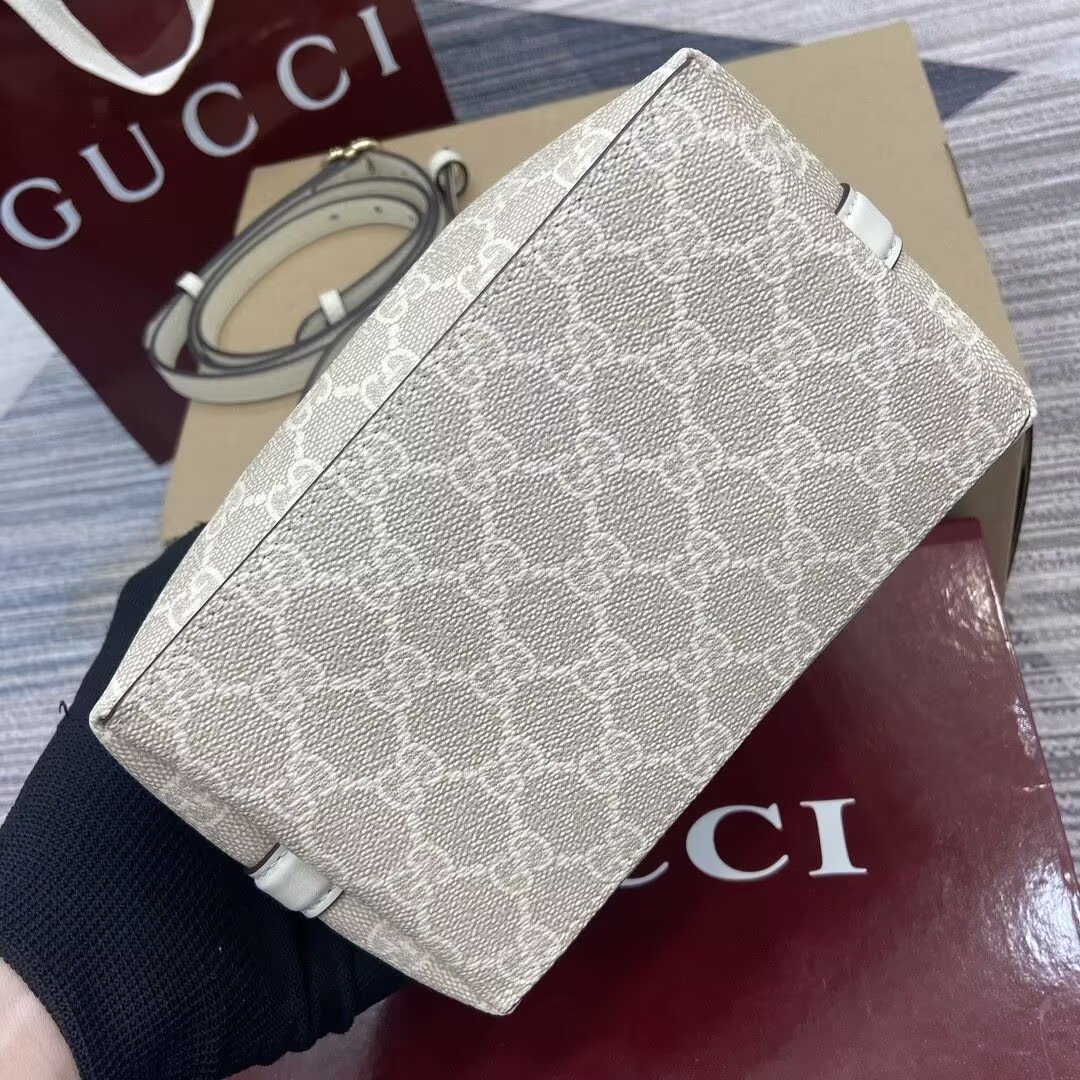 Gvc*1 Mini Emblem 19x18x11cm