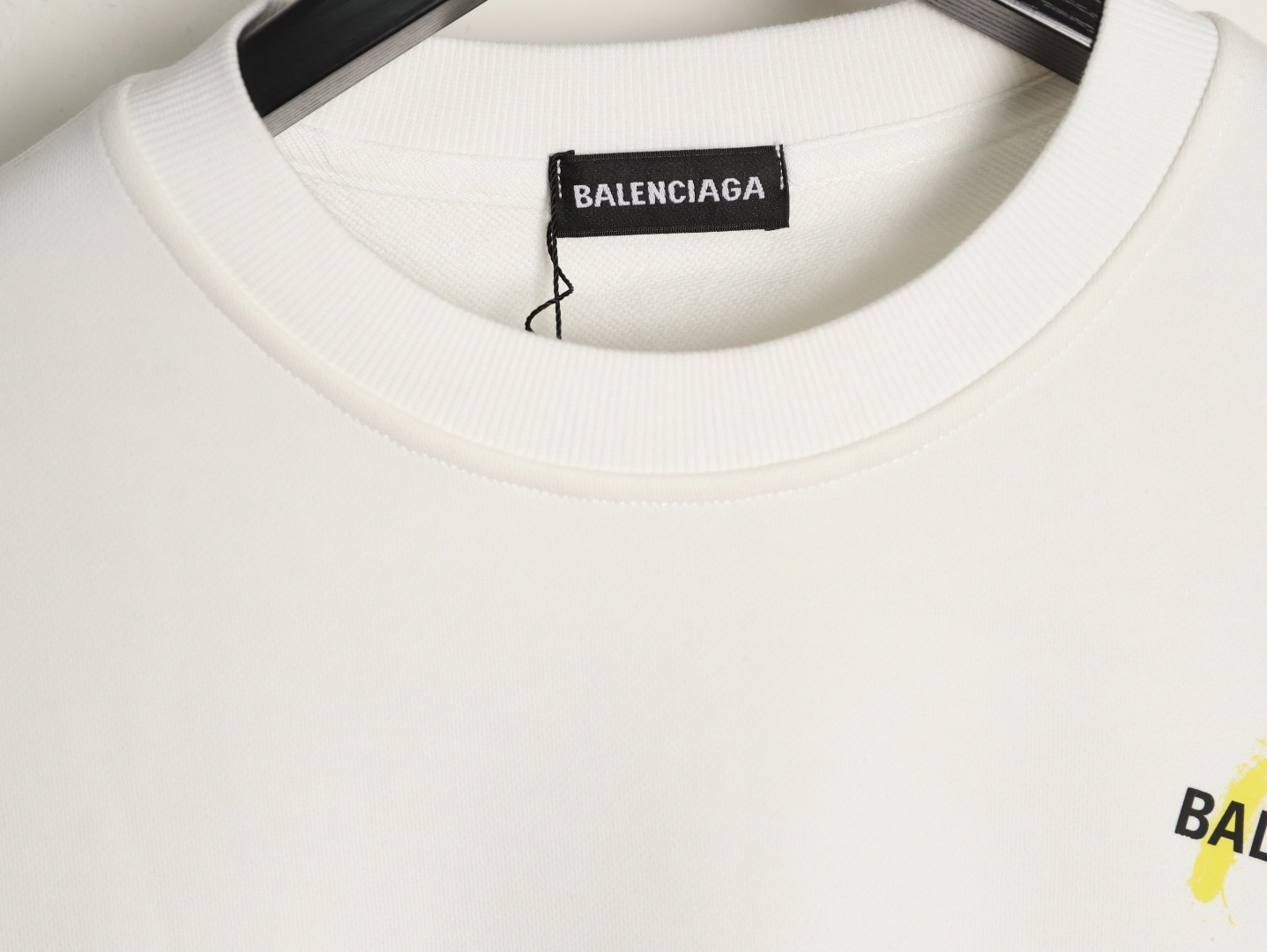Ba1en*iaga 25FW Hoodies