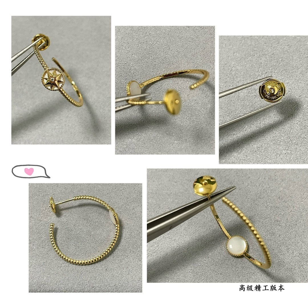 D10r rose des vents earrings
