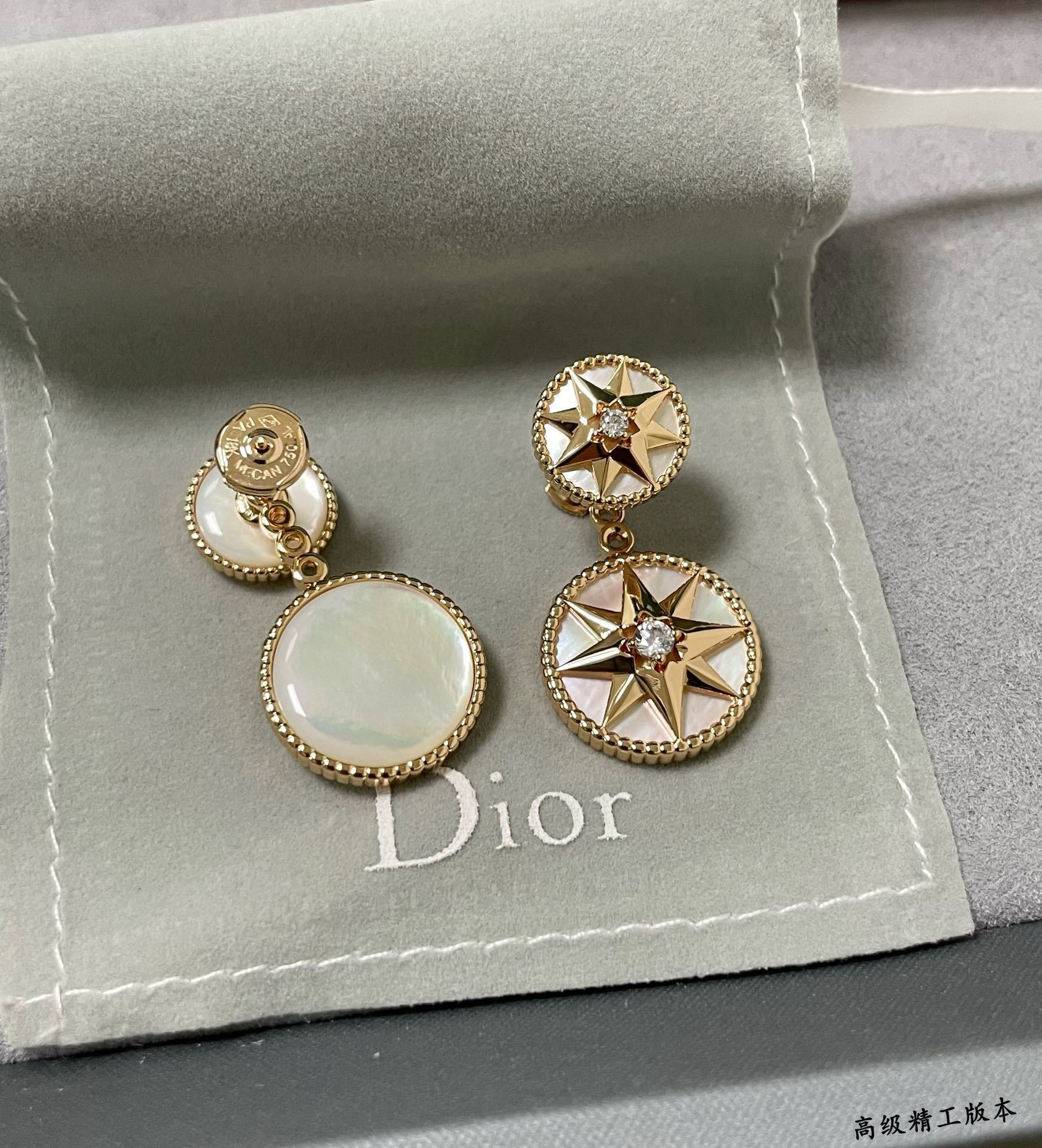 D10r rose des vents earrings