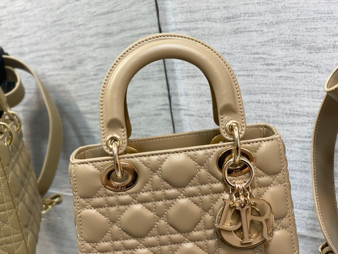 lady D10r bag 20x8x18cm