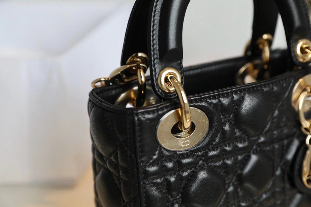 Mini Lady D10r Bag 17cm  6.5 x 6 x 3 inches