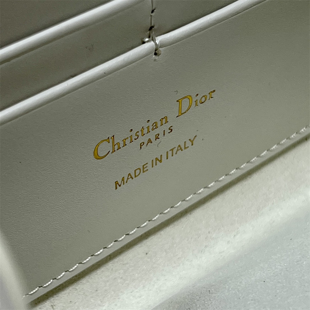 D10r BOBBY EAST-WEST POUCH WITH CHAIN Latte Smooth Calfskin White
