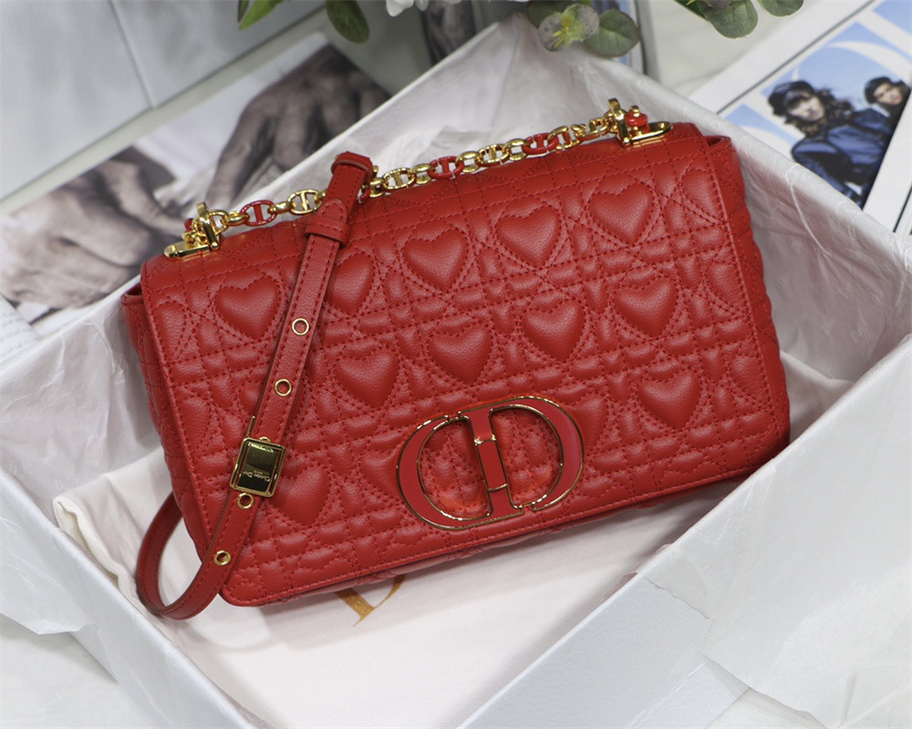MEDIUM D10r CARO BAG amour red 25.5 x 15.5 x 8 cm